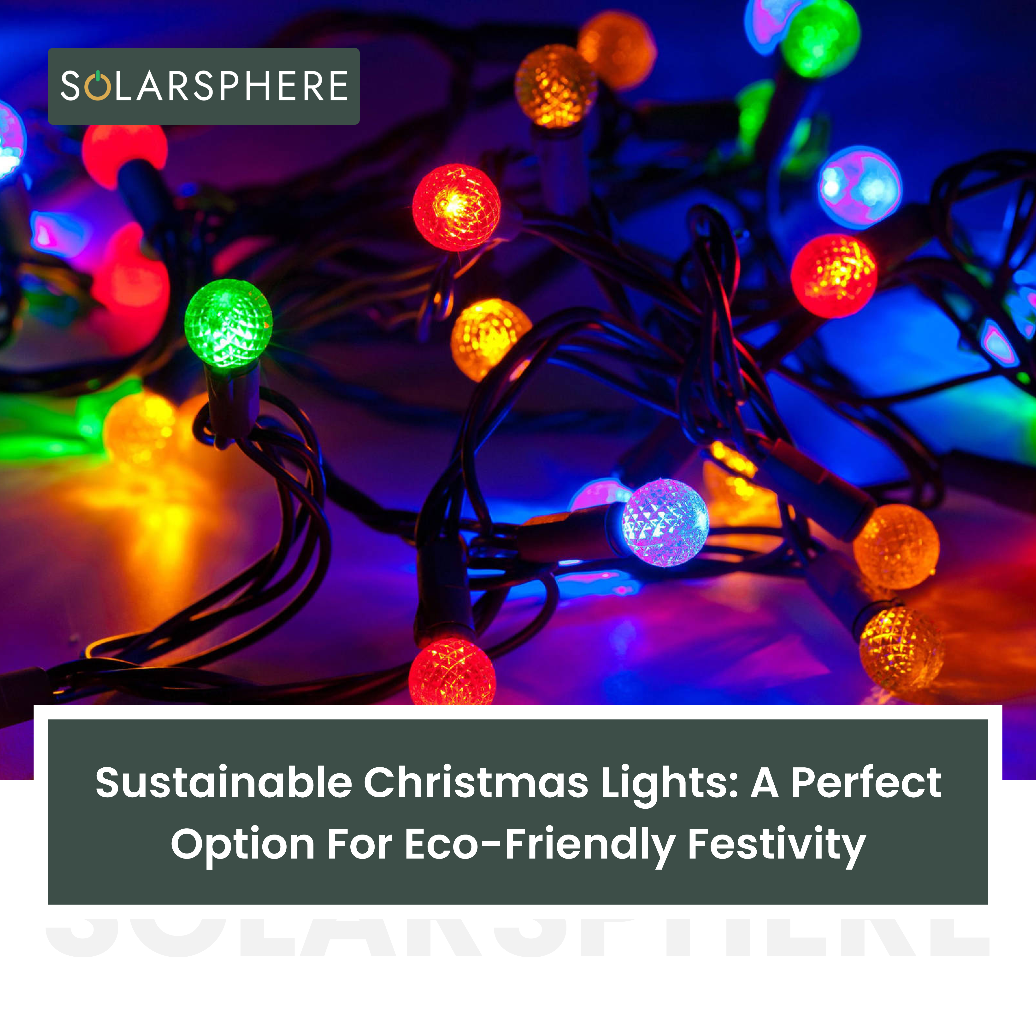 Sustainable Christmas Lights