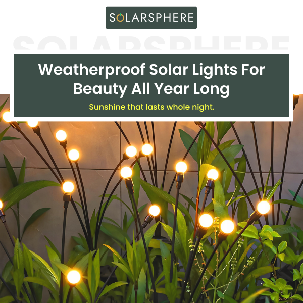 Solar Outdoor lights